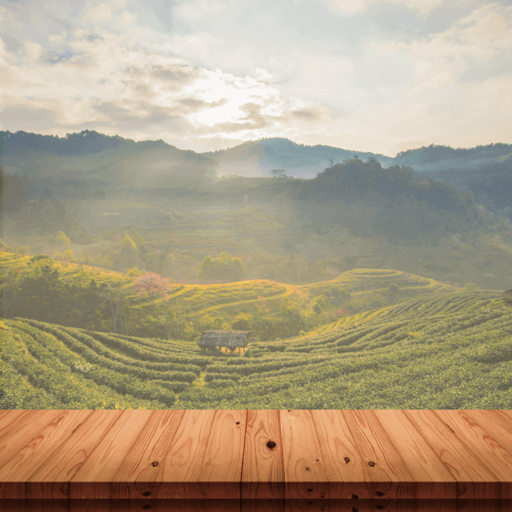 LEMON HONEY ORGANIC GREEN TEA