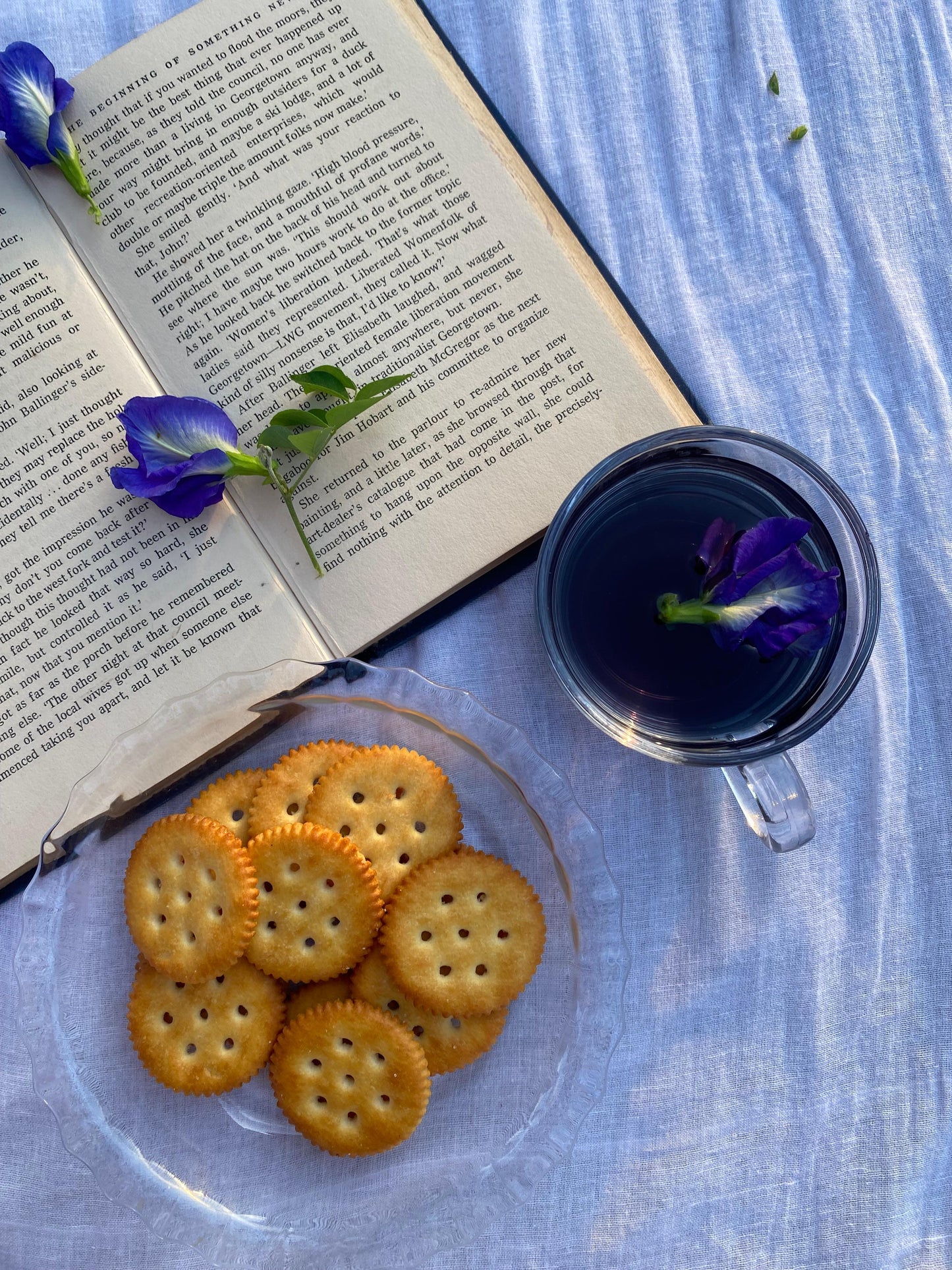 BLUEFLOWER ORGANIC GREEN TEA