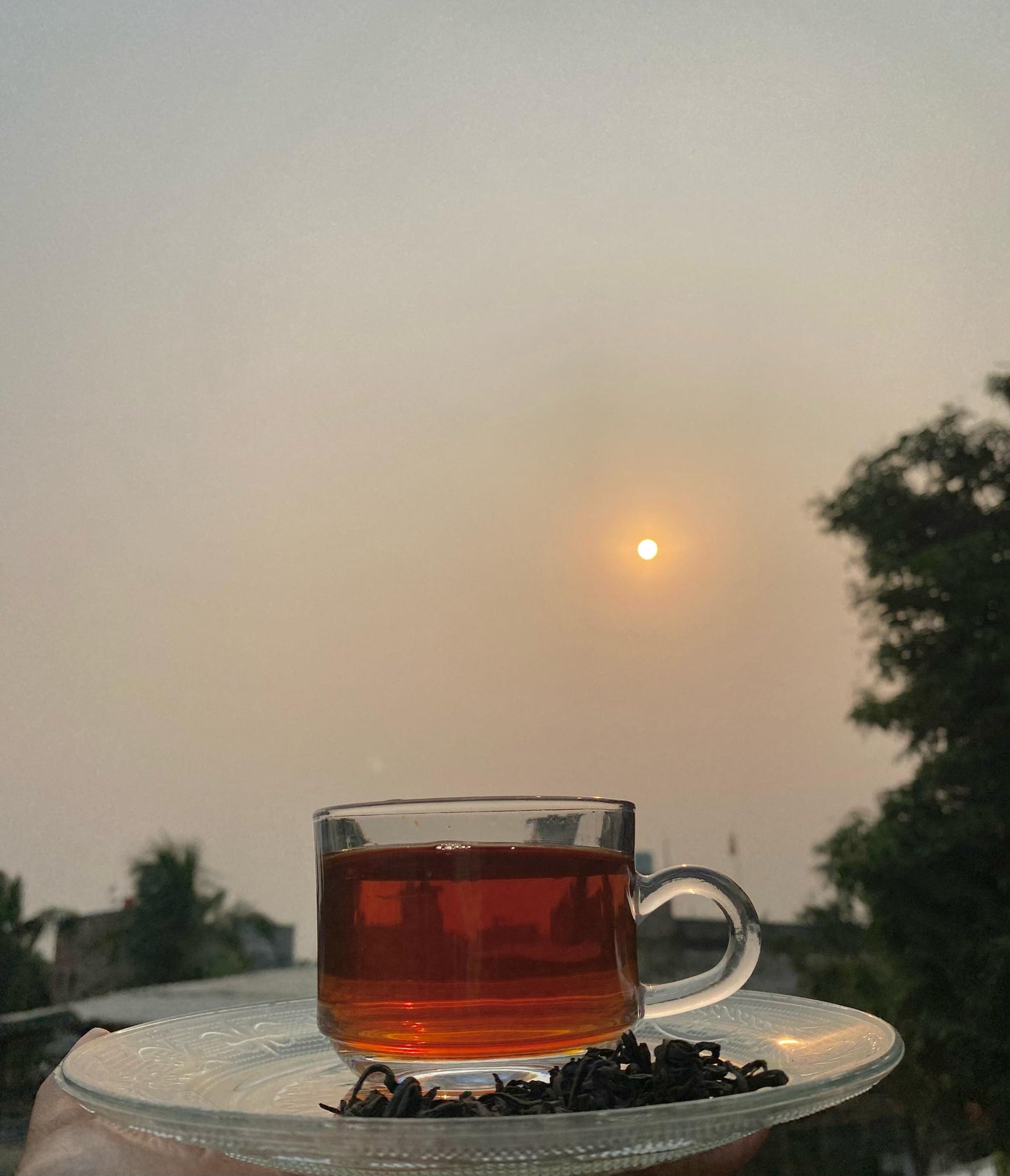 GABA TEA