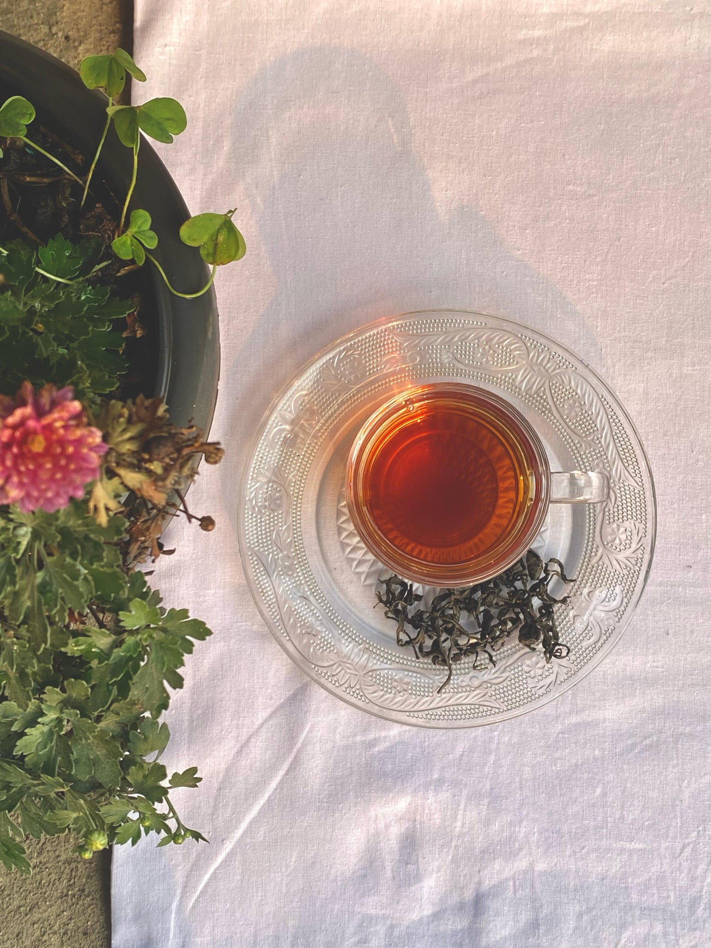GABA TEA
