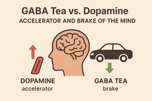 GABA Tea vs. Dopamine: Accelerator and Brake of the Mind