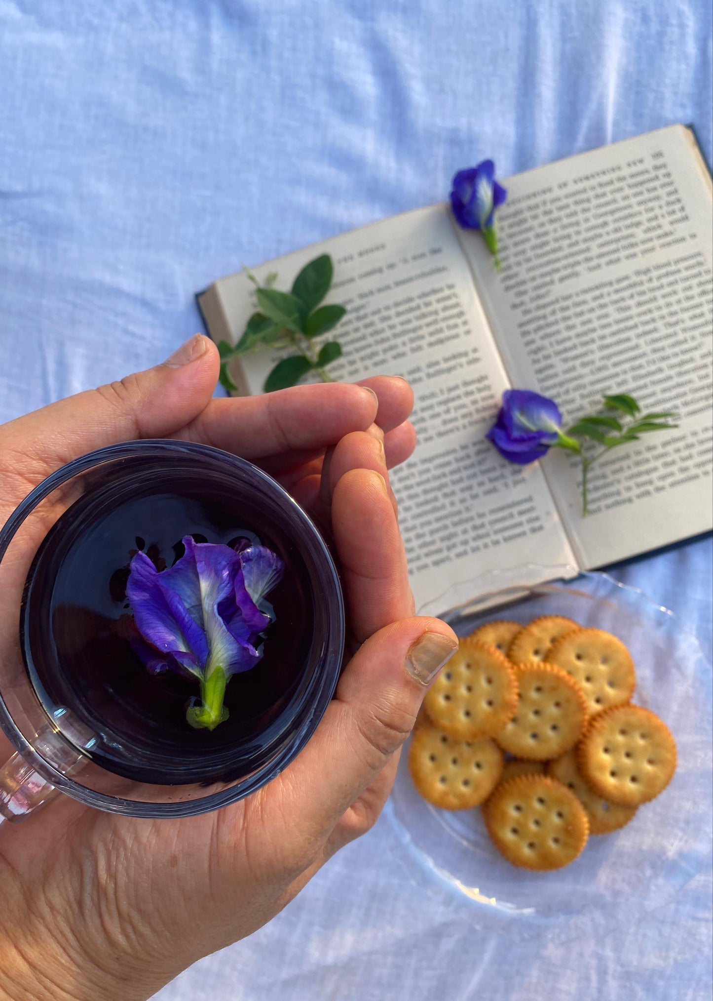 BLUEFLOWER ORGANIC GREEN TEA